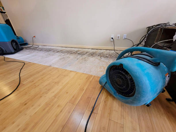 Professional Ceiling Water Damage Repair technician working in Burlington, KY